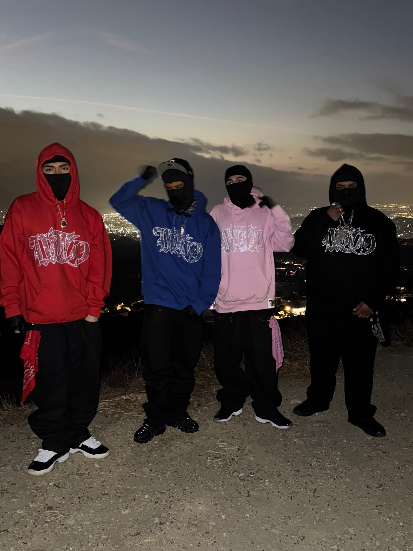 WTO RHINESTONE HOODIE